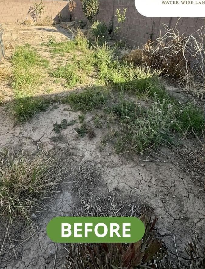 Before — Las Vegas Backyard Transformation